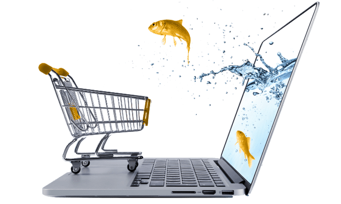 Win Customers With Shopify Store Development